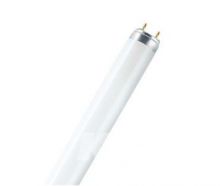 Osram Świetlówka liniowa 1x36W T8 3000K